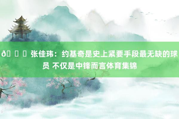 👀张佳玮：约基奇是史上紧要手段最无缺的球员 不仅是中锋而言体育集锦