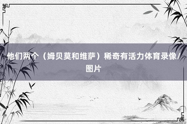 他们两个（姆贝莫和维萨）稀奇有活力体育录像/图片