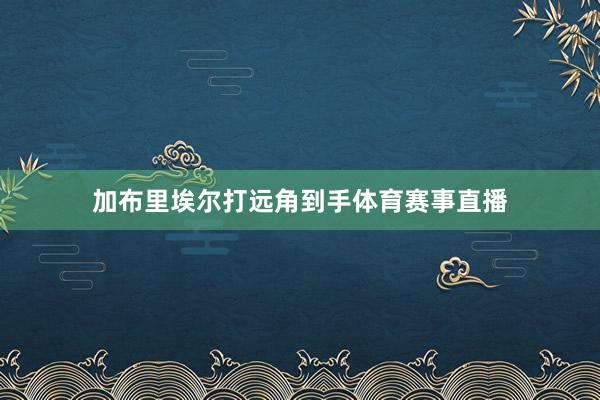 加布里埃尔打远角到手体育赛事直播