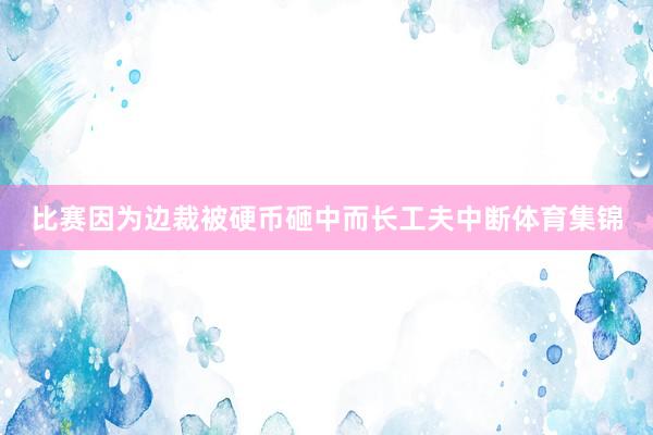 比赛因为边裁被硬币砸中而长工夫中断体育集锦