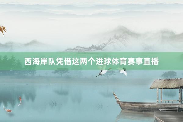 西海岸队凭借这两个进球体育赛事直播
