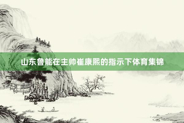 山东鲁能在主帅崔康熙的指示下体育集锦