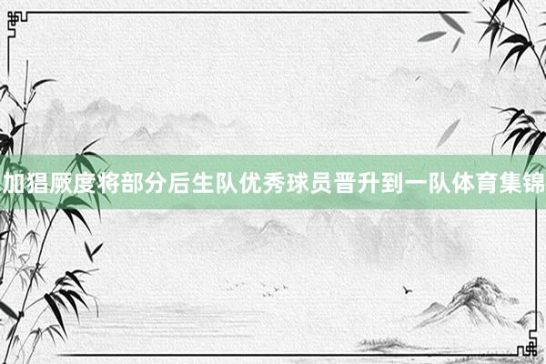 加猖厥度将部分后生队优秀球员晋升到一队体育集锦