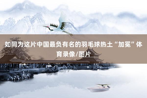 如同为这片中国最负有名的羽毛球热土“加冕”体育录像/图片