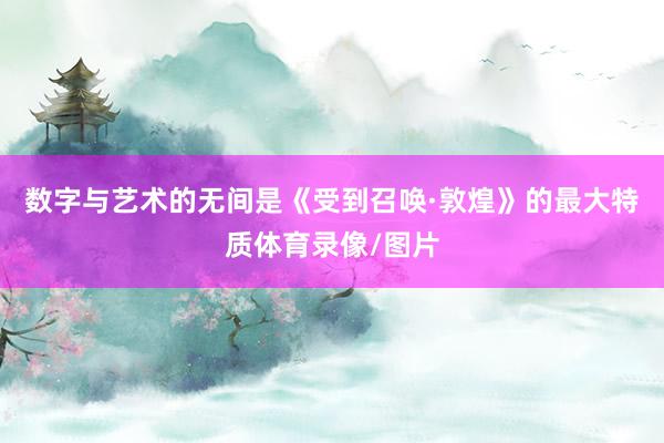 数字与艺术的无间是《受到召唤·敦煌》的最大特质体育录像/图片