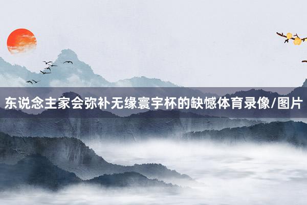 东说念主家会弥补无缘寰宇杯的缺憾体育录像/图片