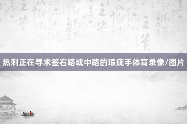 热刺正在寻求签右路或中路的瑕疵手体育录像/图片