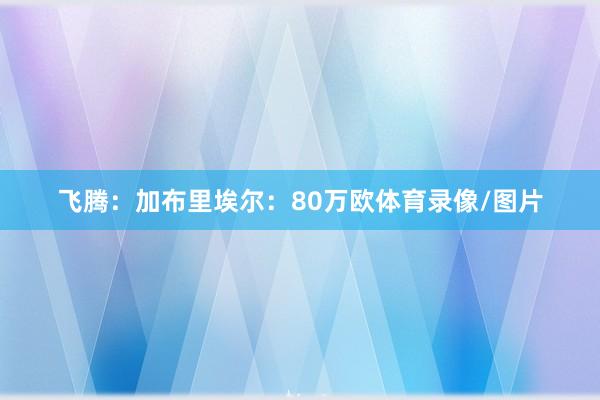 飞腾：加布里埃尔：80万欧体育录像/图片