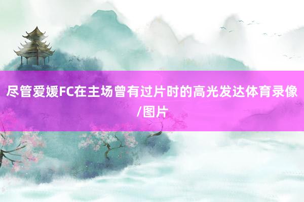 尽管爱媛FC在主场曾有过片时的高光发达体育录像/图片