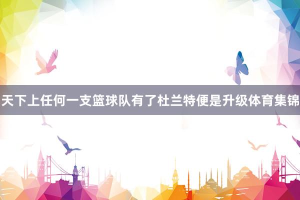 天下上任何一支篮球队有了杜兰特便是升级体育集锦