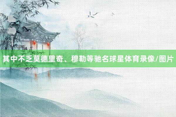 其中不乏莫德里奇、穆勒等驰名球星体育录像/图片