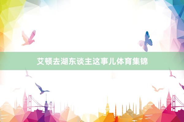 艾顿去湖东谈主这事儿体育集锦