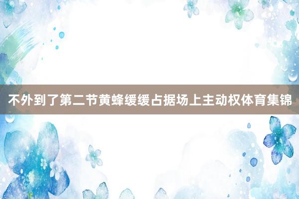 不外到了第二节黄蜂缓缓占据场上主动权体育集锦