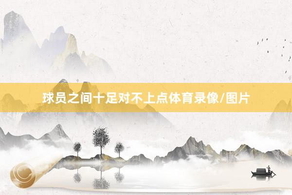 球员之间十足对不上点体育录像/图片