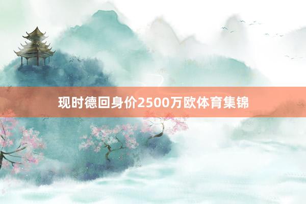 现时德回身价2500万欧体育集锦