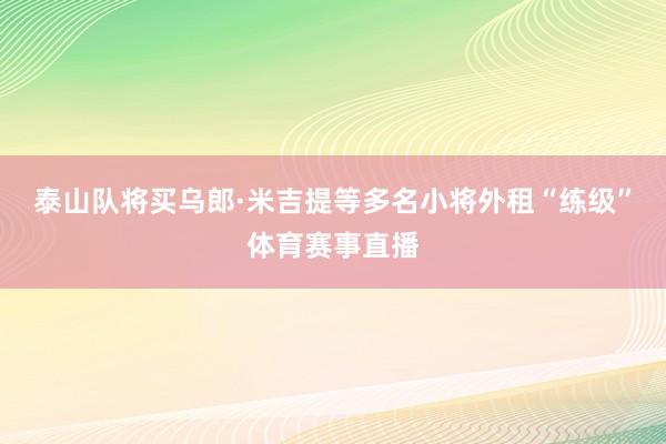 泰山队将买乌郎·米吉提等多名小将外租“练级”体育赛事直播