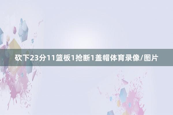 砍下23分11篮板1抢断1盖帽体育录像/图片