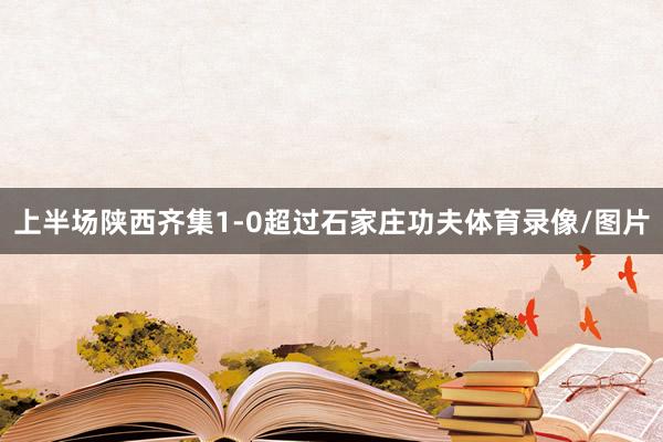 上半场陕西齐集1-0超过石家庄功夫体育录像/图片