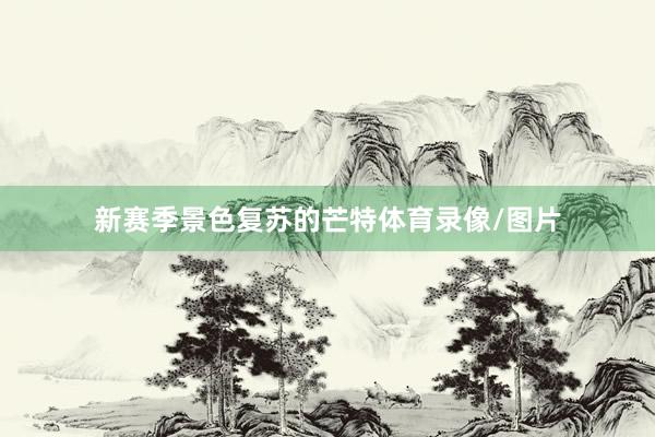 新赛季景色复苏的芒特体育录像/图片