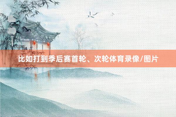 比如打到季后赛首轮、次轮体育录像/图片