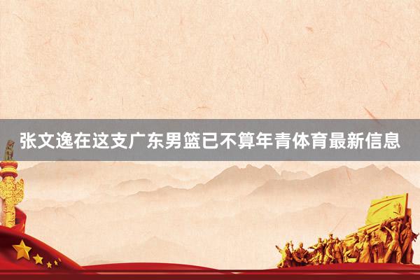 张文逸在这支广东男篮已不算年青体育最新信息