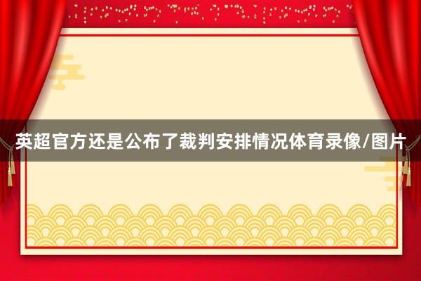 英超官方还是公布了裁判安排情况体育录像/图片