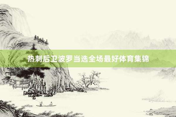 热刺后卫波罗当选全场最好体育集锦