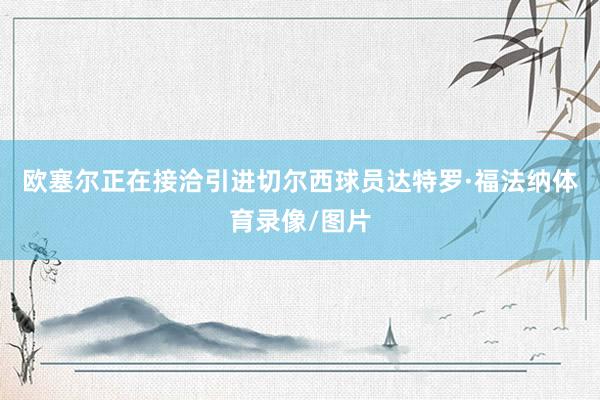 欧塞尔正在接洽引进切尔西球员达特罗·福法纳体育录像/图片