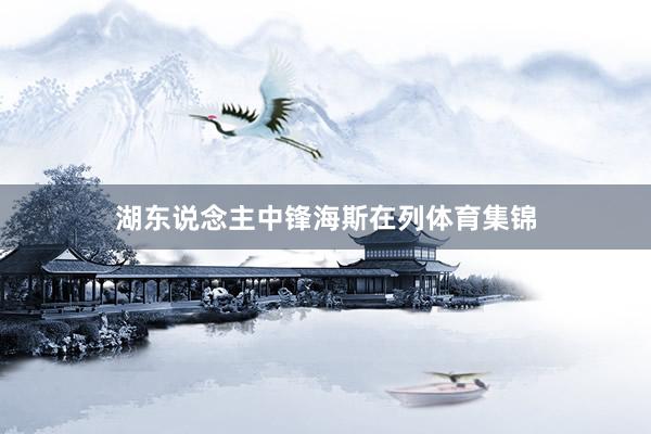 湖东说念主中锋海斯在列体育集锦