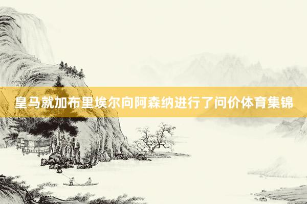 皇马就加布里埃尔向阿森纳进行了问价体育集锦