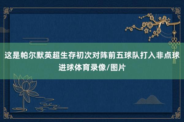 这是帕尔默英超生存初次对阵前五球队打入非点球进球体育录像/图片