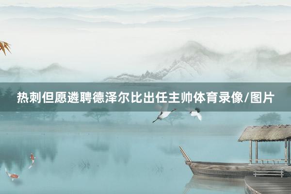 热刺但愿遴聘德泽尔比出任主帅体育录像/图片