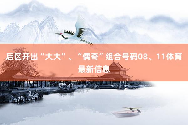 后区开出“大大”、“偶奇”组合号码08、11体育最新信息