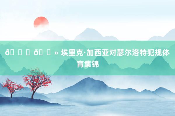 👉🏻 埃里克·加西亚对瑟尔洛特犯规体育集锦
