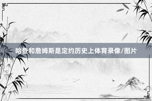 哈登和詹姆斯是定约历史上体育录像/图片