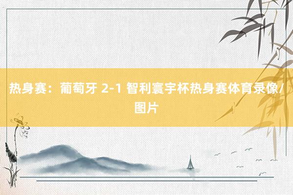 热身赛：葡萄牙 2-1 智利寰宇杯热身赛体育录像/图片