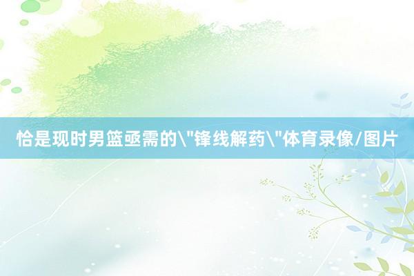 恰是现时男篮亟需的