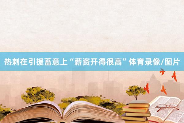 热刺在引援蓄意上“薪资开得很高”体育录像/图片